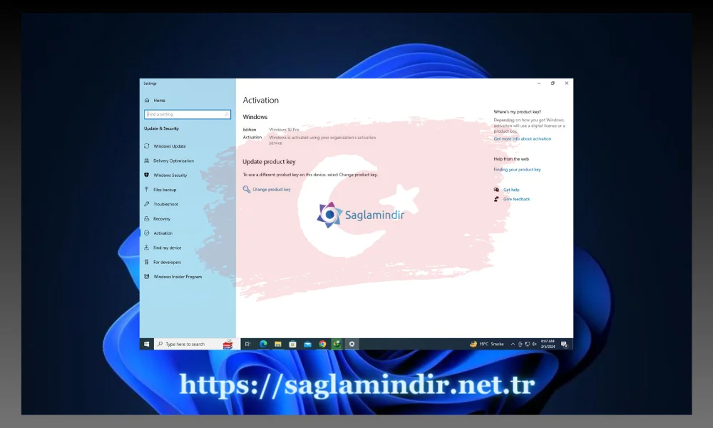 Geri dönün ve Windows 10