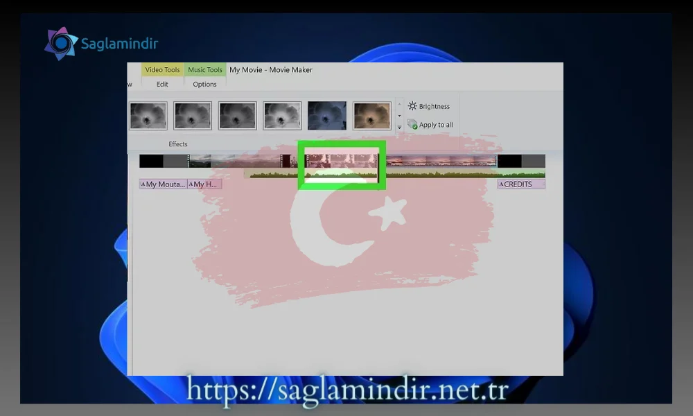 Görsel efektin uygulanması gereken video klibi seçin