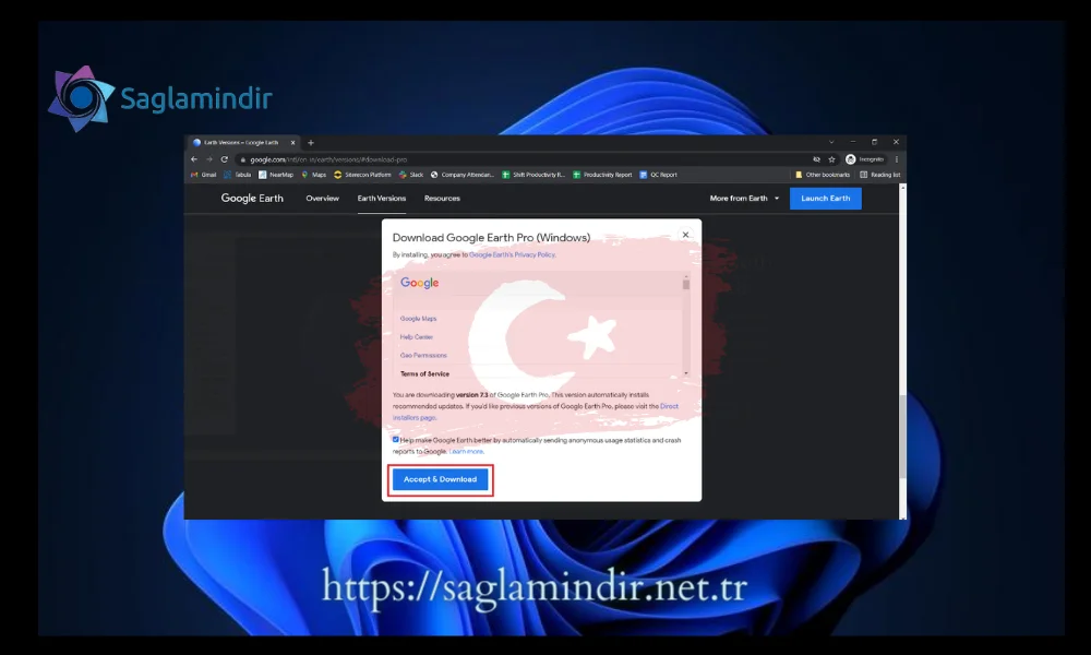 google earth pro nedir