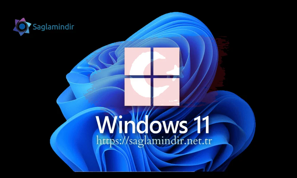 windows 11 indir