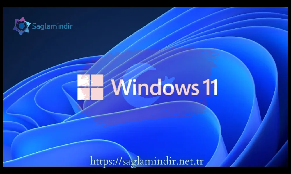 windows 11