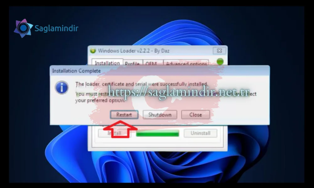 windows loader 2.2.2 download