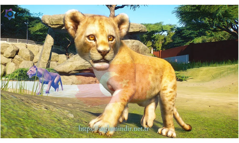planet zoo türkçe yama