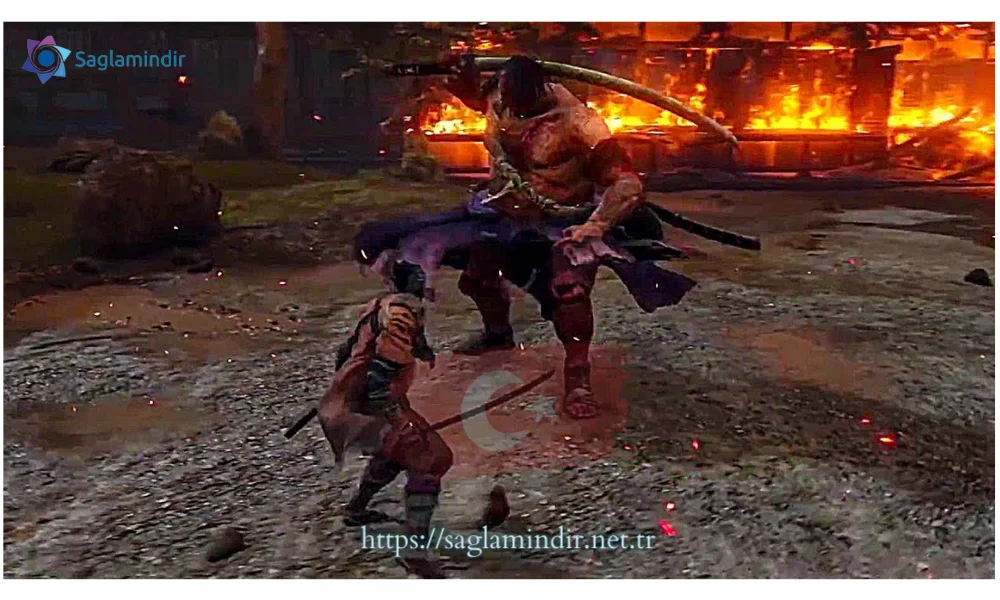 sekiro: shadows die twice