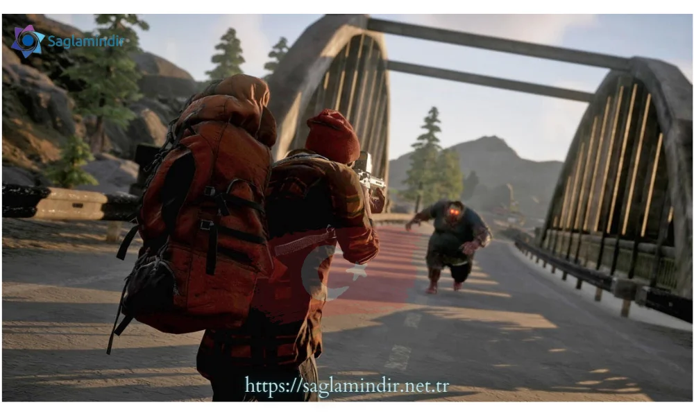 state of decay 2