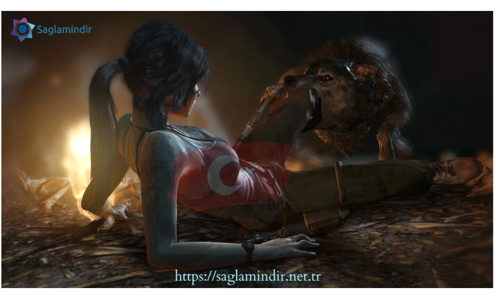 tomb raider 2013 türkçe yama 