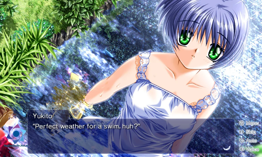 AIR Pc Download