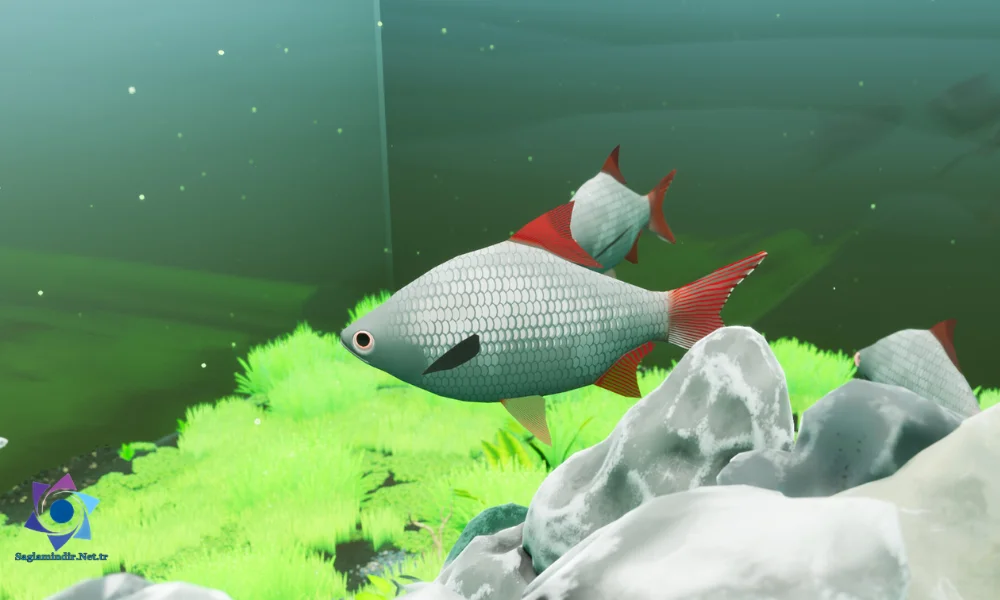 Fish Game – Indonesia Fish Pack 1 Pc Download