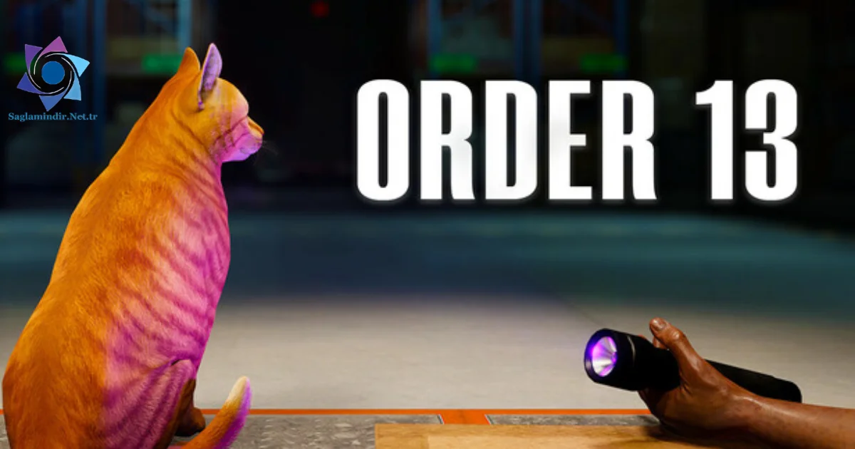 ORDER 13 Saglamindir