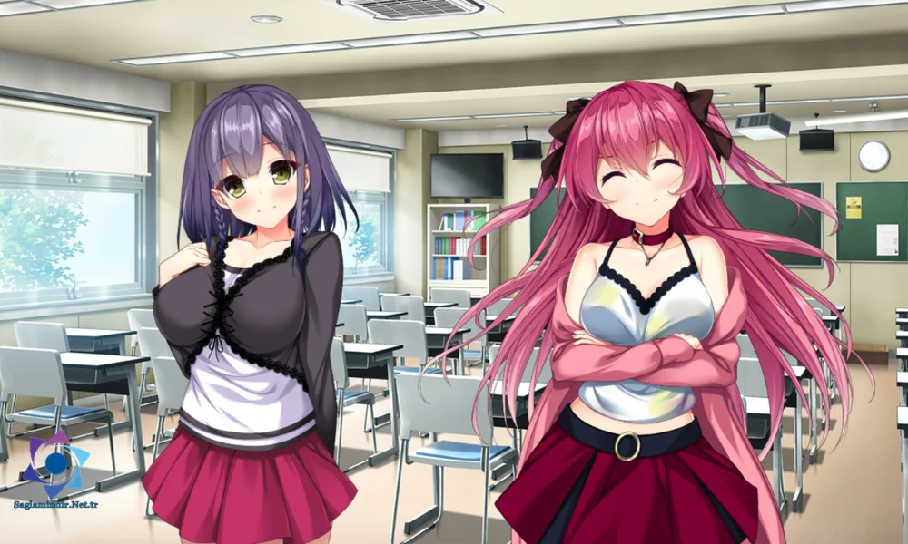 Real Anime Situation DT Pc Download