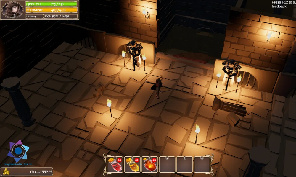 Rise of the Village Hero Pc Download