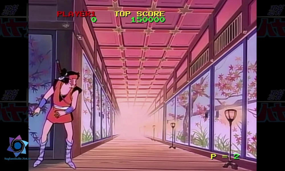 NINJA HAYATE HD-Remaster Pc Indir