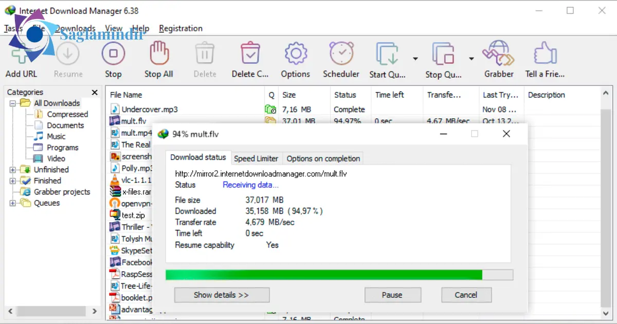 Internet Download Manager Full indir (1)