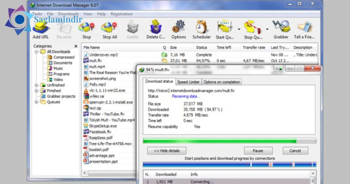 Internet Download Manager Full indir (2)