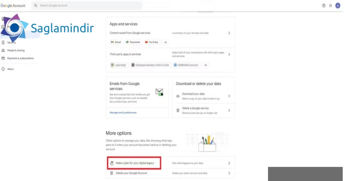 Google Account Manager